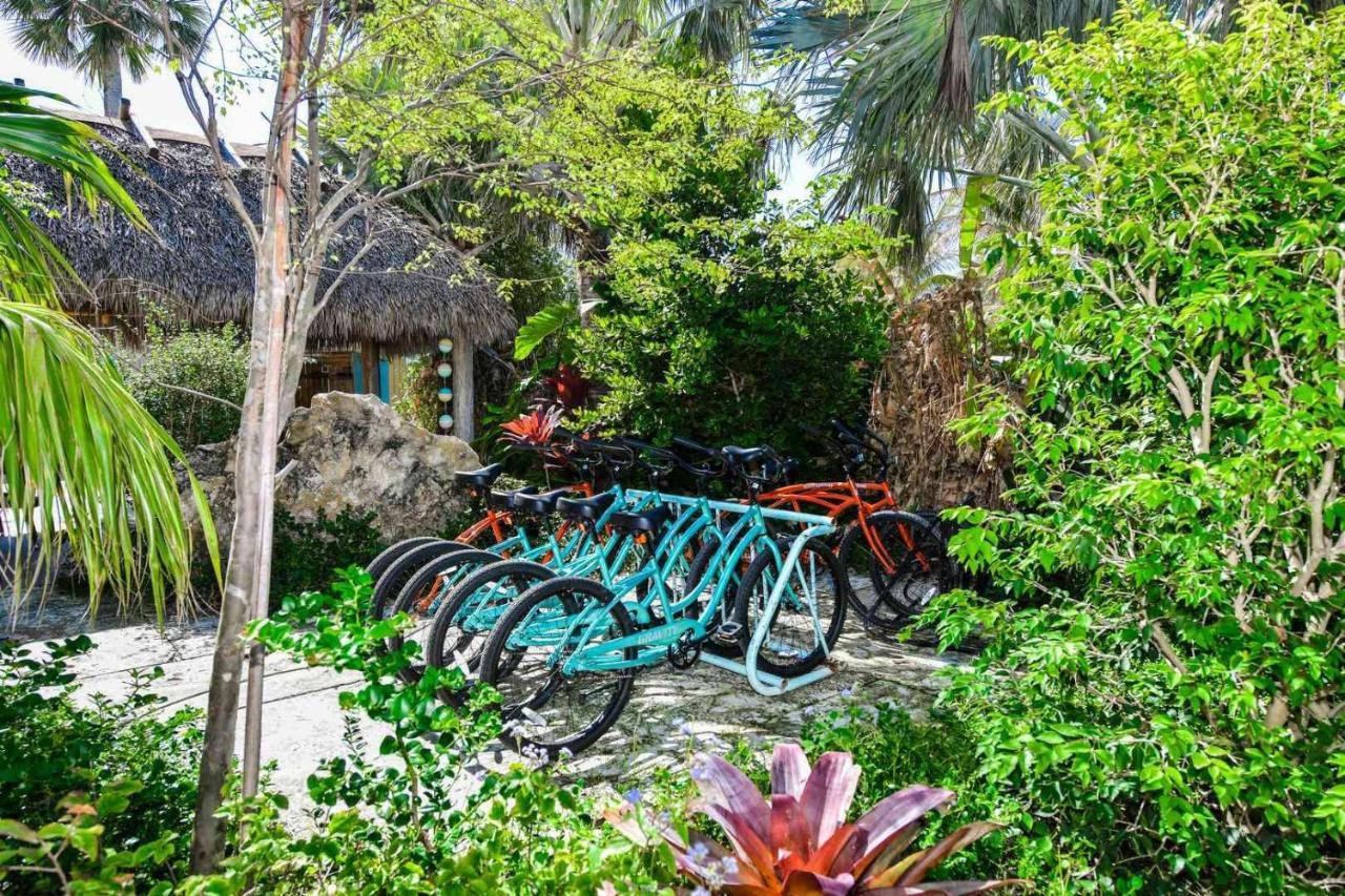 Tropical Breeze Resort Sarasota Zewnętrze zdjęcie